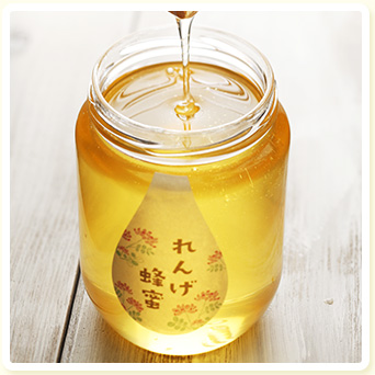 れんげ蜂蜜 850g